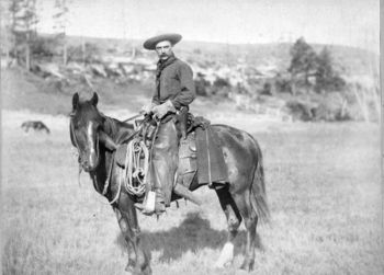 A cowboy, 1887