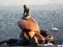 Statue of the Little Mermaid in Copenhagen harbour