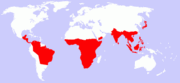 Approximate worldwide distribution of monkeys.