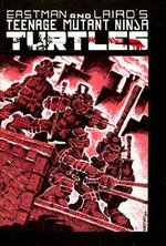 The cover of TMNT #1 is a parody of Frank Miller's Ronin
