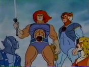 Four of the ThunderCats. From left to right: Panthro, Lion-o, Tygra, and Cheetara.