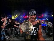 Hollywood Hogan as a member of the New World Order.