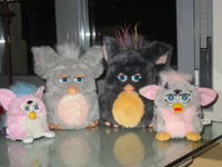 A group of different furbys