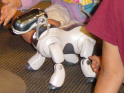 AIBO playing with kids